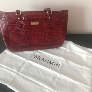 Brahmin Purse